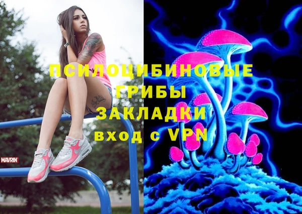 мяу мяу мука Алексеевка