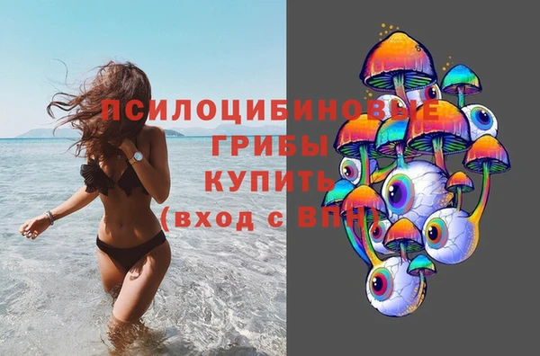 spice Алзамай