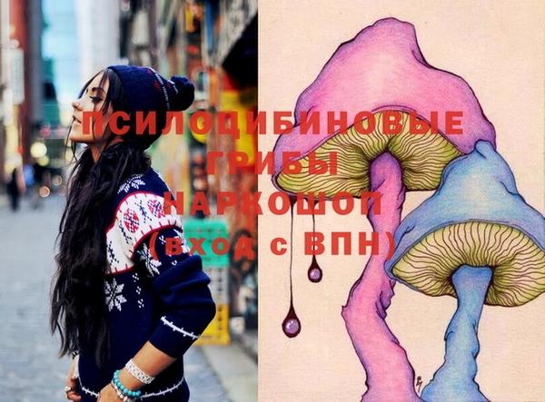 гашик Россошь