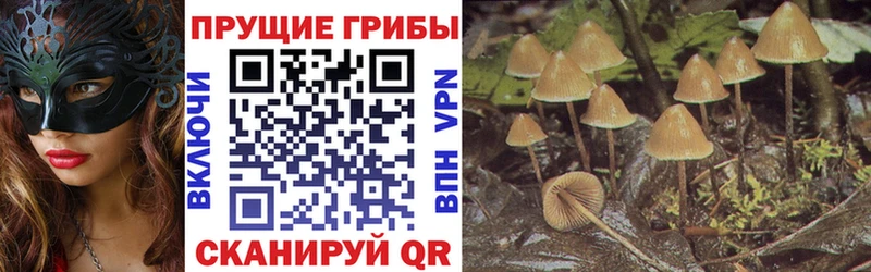 Псилоцибиновые грибы GOLDEN TEACHER  MEGA вход  Салехард  где найти  